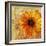 Golden Gerbera I-Art Licensing Studio-Framed Giclee Print