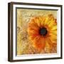 Golden Gerbera I-Art Licensing Studio-Framed Giclee Print