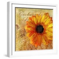 Golden Gerbera I-Art Licensing Studio-Framed Giclee Print