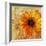 Golden Gerbera I-Art Licensing Studio-Framed Giclee Print