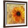 Golden Gerbera I-Art Licensing Studio-Framed Giclee Print