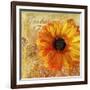 Golden Gerbera I-Art Licensing Studio-Framed Giclee Print