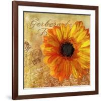 Golden Gerbera I-Art Licensing Studio-Framed Giclee Print