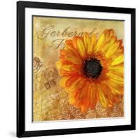 Golden Gerbera I-Art Licensing Studio-Framed Giclee Print