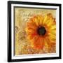 Golden Gerbera I-Art Licensing Studio-Framed Giclee Print