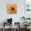 Golden Gerbera I-Art Licensing Studio-Mounted Giclee Print displayed on a wall