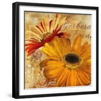 Golden Gerbera II-Art Licensing Studio-Framed Giclee Print