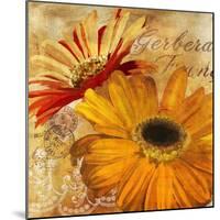 Golden Gerbera II-Art Licensing Studio-Mounted Giclee Print