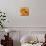 Golden Gerbera II-Art Licensing Studio-Mounted Giclee Print displayed on a wall