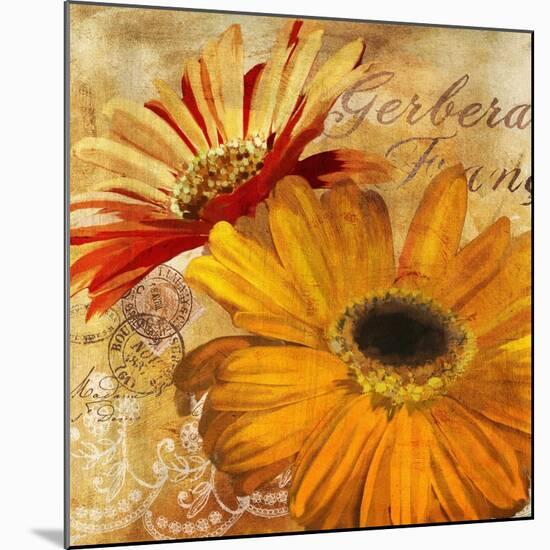 Golden Gerbera II-Art Licensing Studio-Mounted Giclee Print