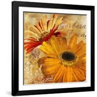 Golden Gerbera II-Art Licensing Studio-Framed Giclee Print