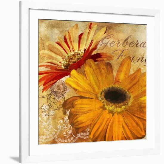 Golden Gerbera II-Art Licensing Studio-Framed Giclee Print