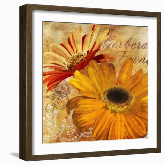 Golden Gerbera II-Art Licensing Studio-Framed Giclee Print