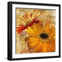 Golden Gerbera II-Art Licensing Studio-Framed Giclee Print