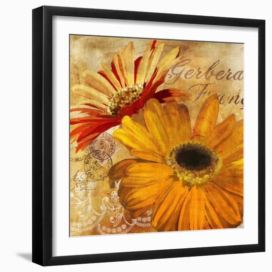 Golden Gerbera II-Art Licensing Studio-Framed Giclee Print