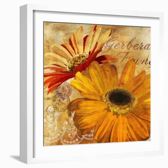 Golden Gerbera II-Art Licensing Studio-Framed Giclee Print