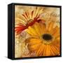 Golden Gerbera II-Art Licensing Studio-Framed Stretched Canvas