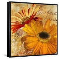 Golden Gerbera II-Art Licensing Studio-Framed Stretched Canvas