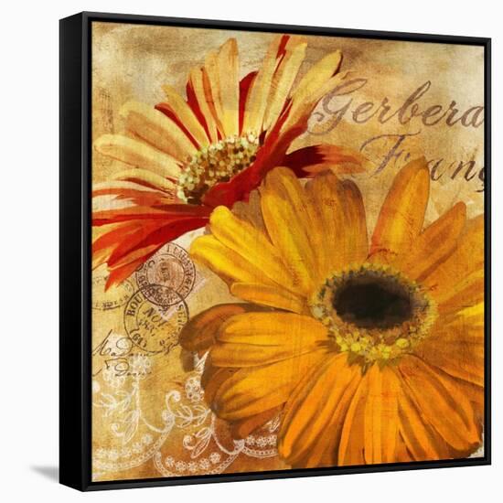 Golden Gerbera II-Art Licensing Studio-Framed Stretched Canvas