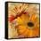 Golden Gerbera II-Art Licensing Studio-Framed Stretched Canvas