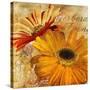 Golden Gerbera II-Art Licensing Studio-Stretched Canvas