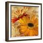 Golden Gerbera II-Art Licensing Studio-Framed Premium Giclee Print