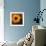 Golden Gerbera III-Art Licensing Studio-Framed Giclee Print displayed on a wall