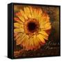 Golden Gerbera III-Art Licensing Studio-Framed Stretched Canvas