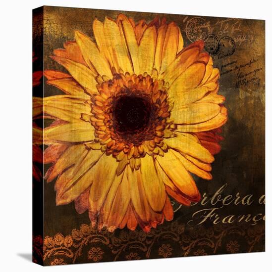 Golden Gerbera III-Art Licensing Studio-Stretched Canvas