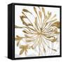 Golden Gilt Bloom I-Annie Warren-Framed Stretched Canvas