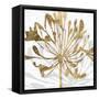 Golden Gilt Bloom II-Annie Warren-Framed Stretched Canvas