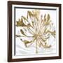 Golden Gilt Bloom II-Annie Warren-Framed Art Print