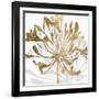 Golden Gilt Bloom II-Annie Warren-Framed Art Print