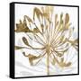 Golden Gilt Bloom II-Annie Warren-Framed Stretched Canvas