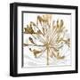 Golden Gilt Bloom II-Annie Warren-Framed Art Print