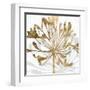 Golden Gilt Bloom II-Annie Warren-Framed Art Print