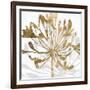 Golden Gilt Bloom II-Annie Warren-Framed Art Print