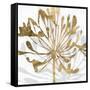 Golden Gilt Bloom II-Annie Warren-Framed Stretched Canvas