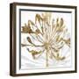 Golden Gilt Bloom II-Annie Warren-Framed Art Print