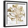 Golden Gilt Bloom II-Annie Warren-Framed Art Print