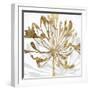 Golden Gilt Bloom II-Annie Warren-Framed Art Print