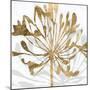 Golden Gilt Bloom II-Annie Warren-Mounted Art Print