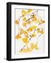 Golden Gingko A-Beverly Dyer-Framed Art Print