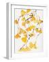 Golden Gingko A-Beverly Dyer-Framed Art Print