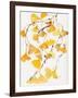 Golden Gingko A-Beverly Dyer-Framed Art Print