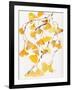 Golden Gingko A-Beverly Dyer-Framed Art Print