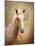 Golden Girl Palomino Horse-Jai Johnson-Mounted Giclee Print