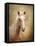 Golden Girl Palomino Horse-Jai Johnson-Framed Stretched Canvas