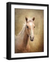 Golden Girl Palomino Horse-Jai Johnson-Framed Giclee Print