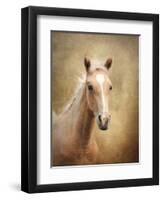 Golden Girl Palomino Horse-Jai Johnson-Framed Premium Giclee Print